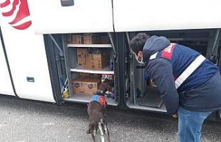 Jandarmadan 456 personelle ‘Narkotik ve Huzur’...