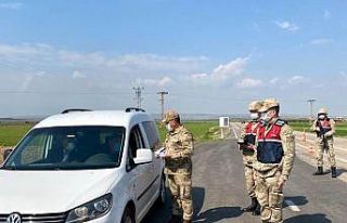 Jandarmadan dinamik denetim