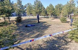 Jandarmanın projesi ile kasten öldürme olaylarının...