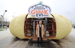 Kabak motifli Gabak Evi, Sakarya’nın tanıtımına...