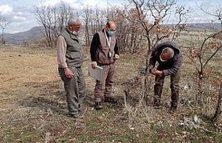 Kaçak ava karşı foto kapanlar kuruldu, kaçak meterisler...