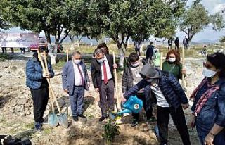 Kadınlar ’Çocuk Hatıra Ormanı’na fidan dikti