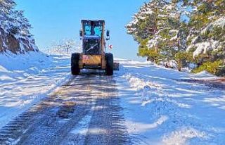 Kahramanmaraş’ta karla mücadele