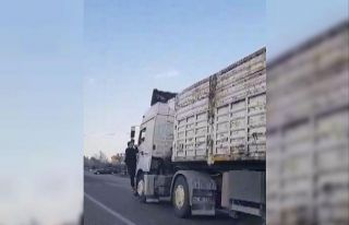Kahramanmaraş’ta pes dedirten görüntü