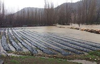 Kahramanmaraş’ta tarım arazileri sular altında...