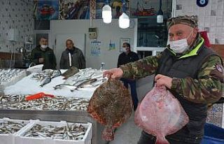Kalkan balığı tadımlık oldu, fiyatı cep yakıyor