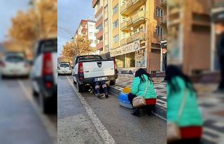 Kamyonetin altına sıkışan kediyi itfaiye ekibi...