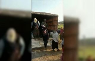 Kamyonetle balık istifi yolculuk