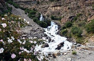 Kanispi Şelalesi koruma altına alındı