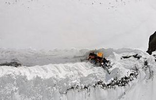 Kar kalınlığının 6 metreyi bulduğu dağlar kar...