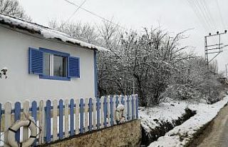 Kar Pazaryeri’ni etkisi altına aldı