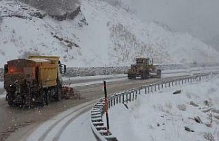 Kar ve tipiden kapanan Mercan- Çat yolu ulaşıma...