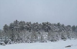Kar yağışı Eskişehir kırsalında etkisini gösterdi
