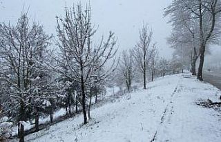 Kar yağıyı köy yollarını kapadı