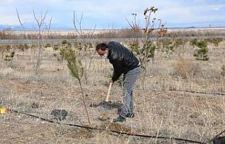 Karabağ Şehitleri Hatıra Ormanı açılış töreni...