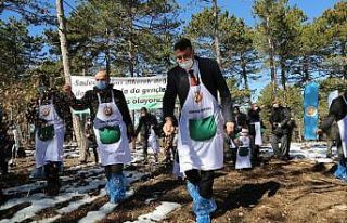 Karaçam tohumları toprakla buluştu