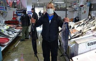 Karadeniz’de yeterli av olmayınca Trabzon Balık...