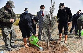 Karaman’da ‘Dünya Ormancılık Haftası’ etkinlikleri