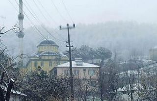 Karasu ilçesinde kar kalınlığı 5 santimetreye...