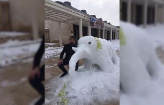 Kardan adam yerine kardan fil