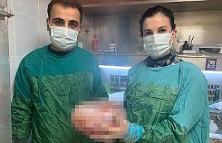 Karın ağrısı şikayeti ile hastaneye gitti, karnından...