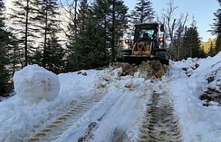 Karla mücadele çalışmaları sürüyor