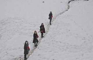 Karlı tepeleri aşarak kadınlara karanfil dağıttılar