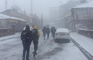 Karlıovalılar güne karla uyandı