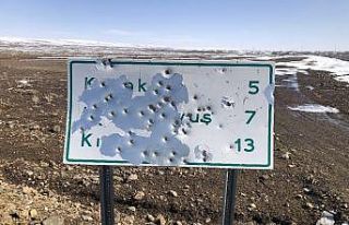 Kars’ta, tabelalar magandaların hedef tahtası...