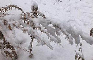 Kars’ta yoğun kar yağışı