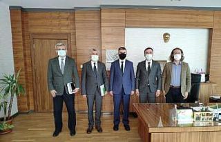 Kastamonu ahşap bina yapımında merkez olacak