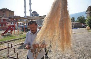 Kastamonu’da kenevir ekimi başladı