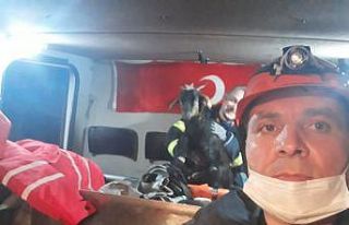 Kayalıklarda mahsur kalan 5 keçiyi itfaiye kurtardı