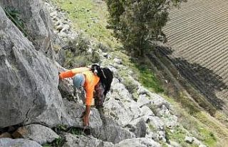 Kayalıklarda mahsur kalan keçileri 5 saatlik çalışmayla...