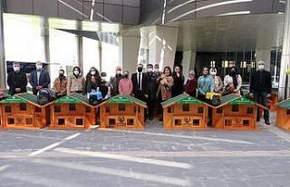Kayapınar Belediyesinden Kedi Evi Projesi