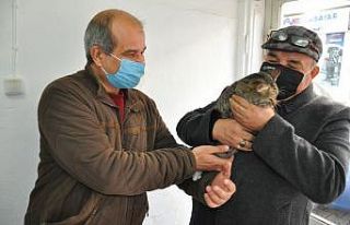 Kayıp kedisine 6 gün sonra kavuştu