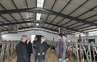 Kaymakam Akpay çiftlikleri ziyaret etti