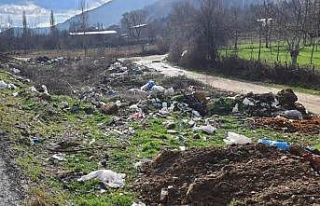 Kaymakam Halim’den çevre temizliği uyarısı