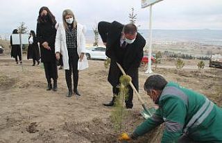 Kayseri Barosu Kadınlar Günü’nde ağaç dikti