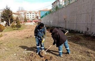 Keçiören’de ağaçlar öğrencilere emanet
