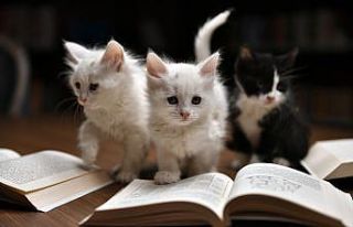 Kedili Tekke’nin maskotları çok sevildi