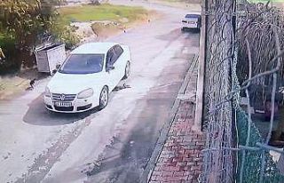 Kediyi ezerek öldüren sürücü gözaltına alındı