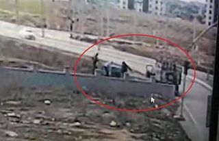 Kendi köpekleri için sokak köpeklerinin kulübelerini...