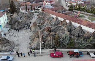 Kenevirler üreticinin elinde kaldı