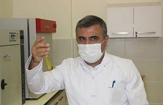 Kilis Zeytinyağı ödüle doymuyor