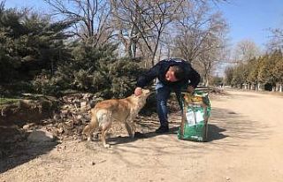 Kırıkkale Belediyesinin hayvan dostu uygulamaları