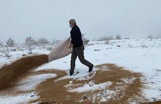 Kırıkkale’de doğaya bin kilogram yem bırakıldı
