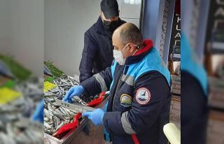 Kırklareli’nde tezgahlardaki balık boyları denetlendi