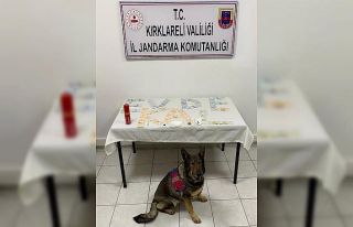 Kırklareli’nde uyuşturucu operasyonunda "evde...