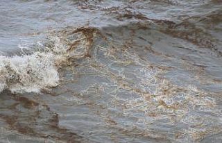 Kirlenen sahilde korkunç görüntüler